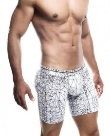 Male Basics Spider Hipster Boxer Brief White/black Md (Material: Polyester)